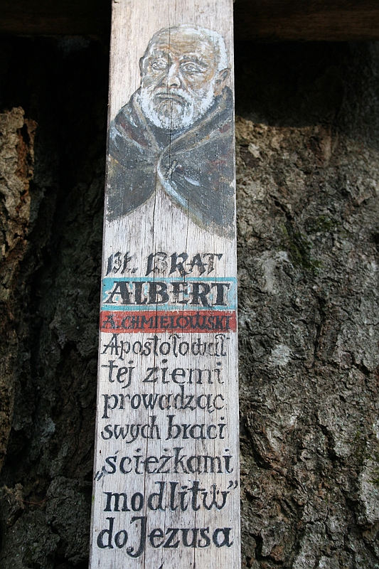 Rostoczek 11.2008 258
